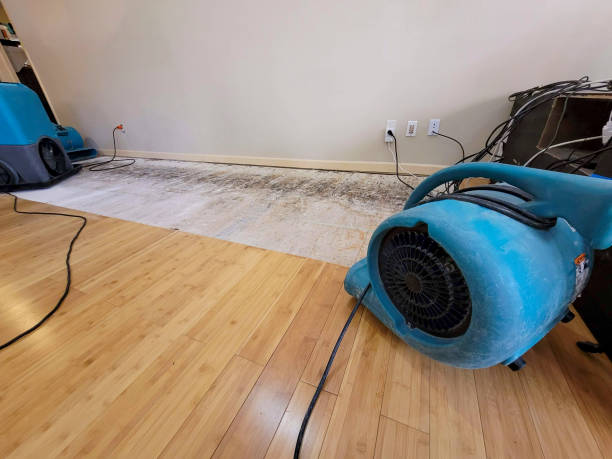 Professional Water Damage Repair technician working in Marion, PA